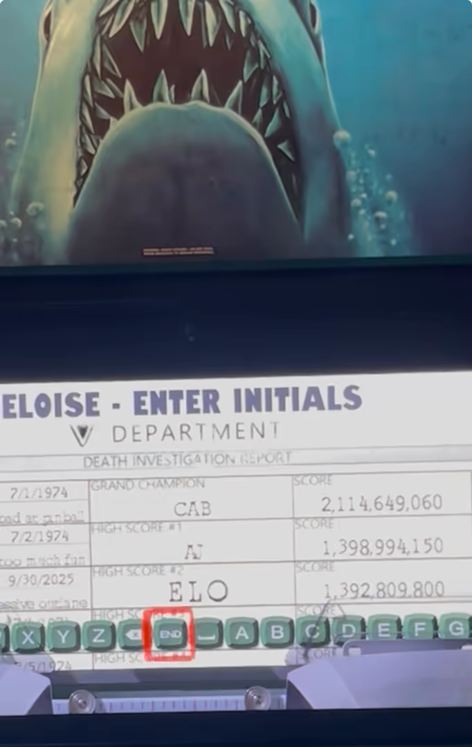 Thresher shark caught on Jaws