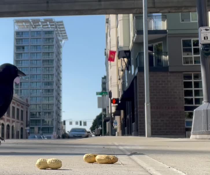 The Three Peanut Problem